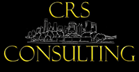 Carslift CRS Consulting - Société de conseil 
